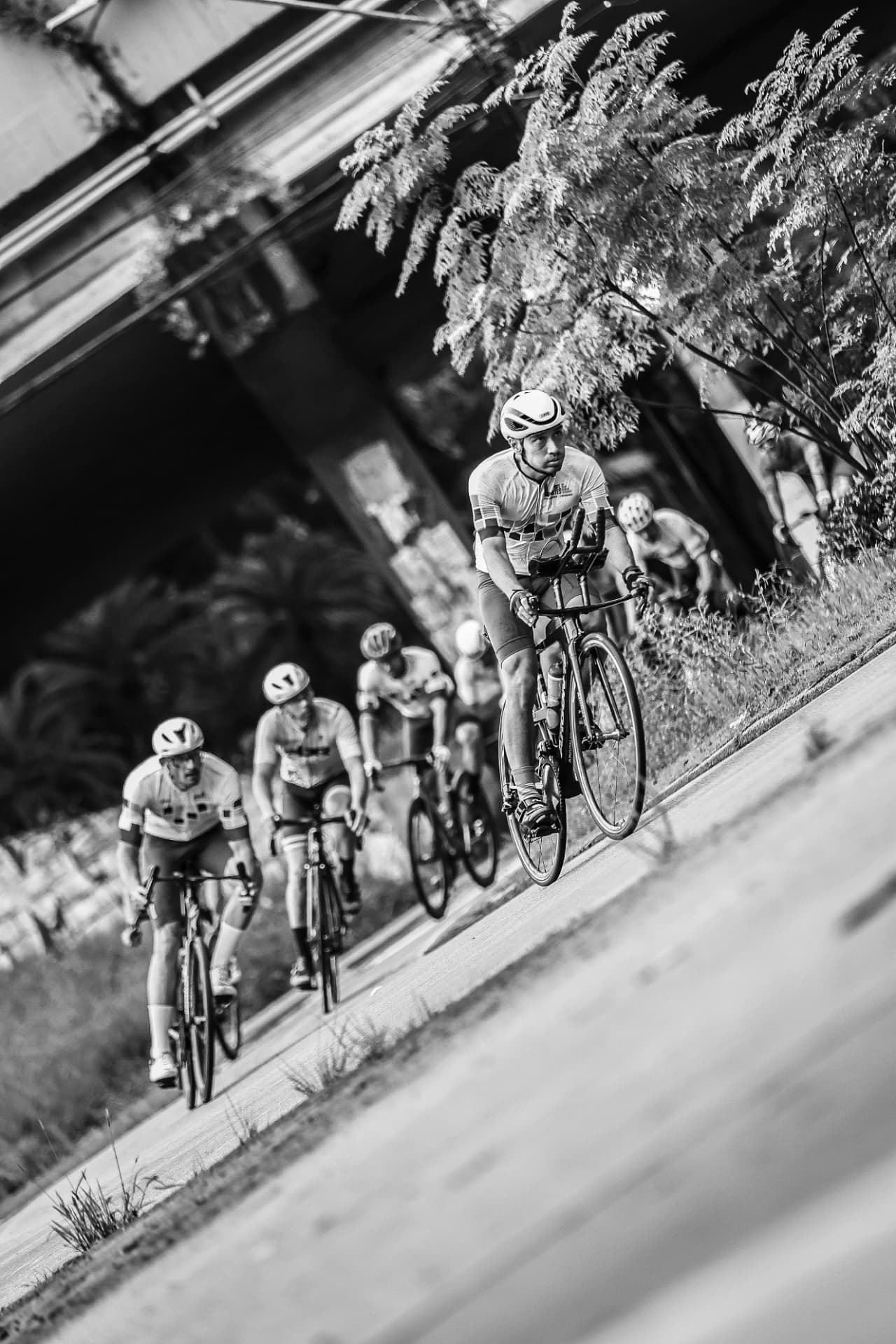 Grupo de ciclistas em uma curva, em preto e branco